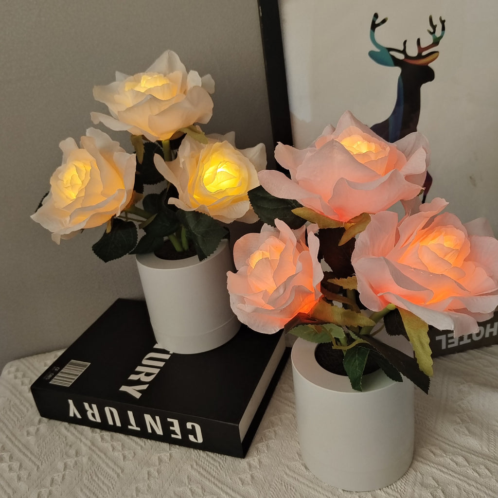 LED Champagne Rose Night Light