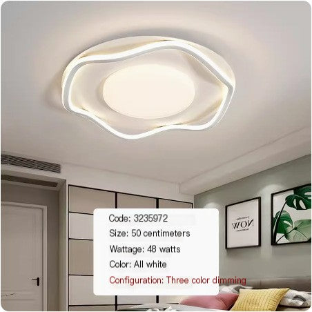 Modern Iron Ceiling Light - Eye-Caring Full Spectrum