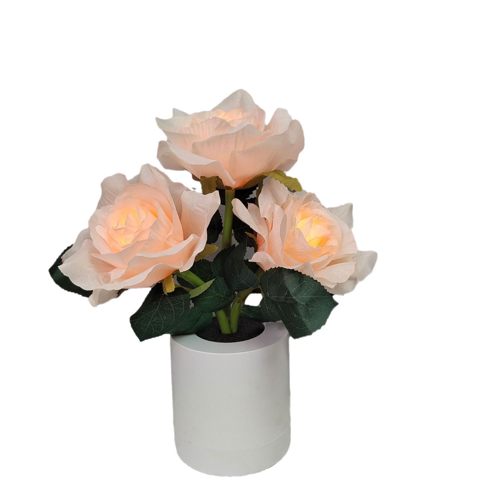 LED Champagne Rose Night Light