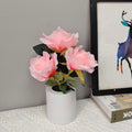 LED Champagne Rose Night Light