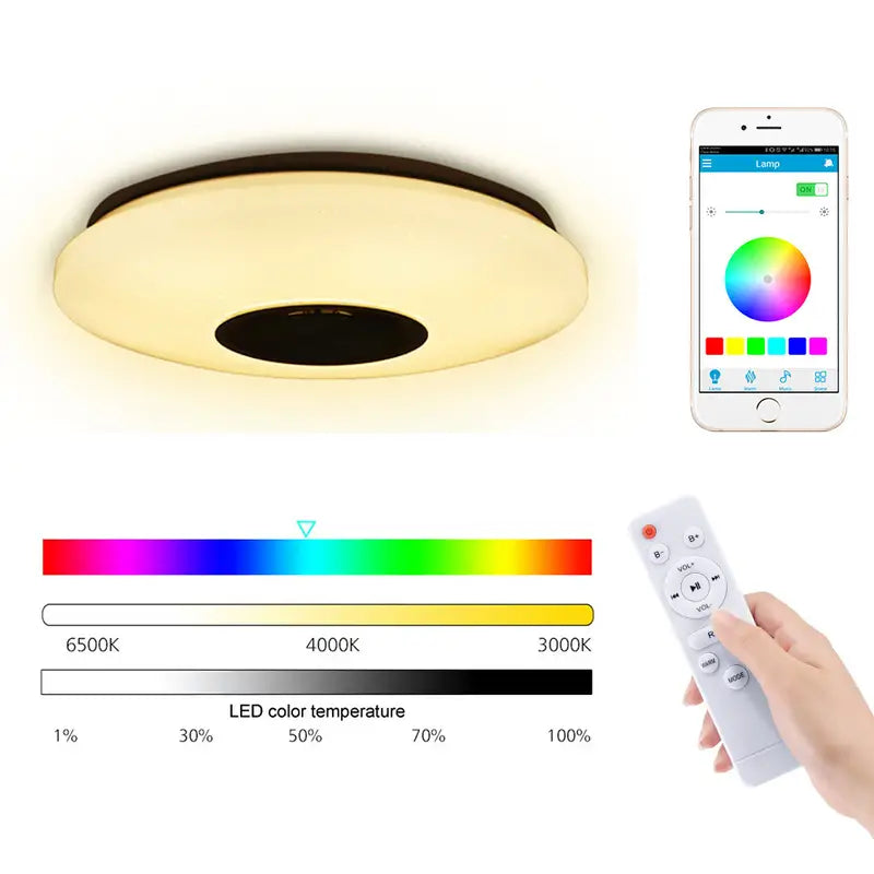 LED Ceiling Light with Remote Control (15.94in)